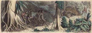 Džungle v Brazílii (barevná rytina) od German School