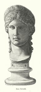 Juno Ludovisi, starořímská kolosální mramorová hlava zobrazující Antoninu Minor, dceru Marka Antonia a Octavie Minor, jako bohyni Juno (rytina) od German School