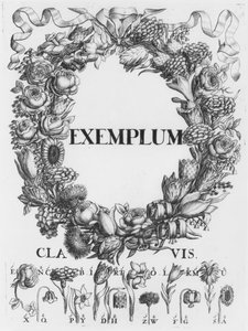 Jazyk květin, ilustrace z Cryptographia nebo tajné spisy Johanna Balthasara Fridericiho, vydané v Hamburku, 1685 od German School