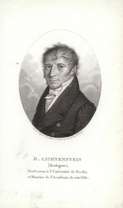 Martin Lichtenstein od German School