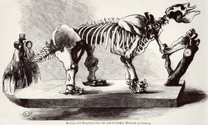 Megatherium Skeleton v Britském muzeu od German School