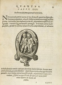 Neidentická dvojčata v lůně, ilustrace z kapitoly 14, kniha 4 knihy O početí a růstu člověka od Rueff, 1587 od German School
