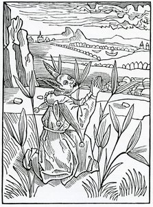 Neprospěšné a vayne modlitební sliby a peticyony, ilustrace z anglického překladu Alexandra Barclaye „The Ship of Fools“, z vydání vydaného v roce 1874 od German School