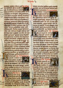 Stránka z The Nature of Things on ptáků, Albertus Magnus (cca 1200-1280) od German School
