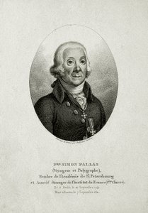 Petr Šimon Pallas. (1741 – 1811) (Čárová rytina) od German School