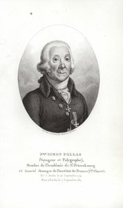 Petr Šimon Pallas od German School