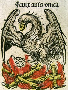 Phoenix publikoval v Norimberské kronice, 1493 od German School
