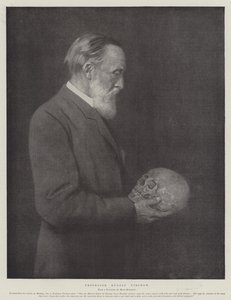 Profesor Rudolf Virchow (litho) od German School