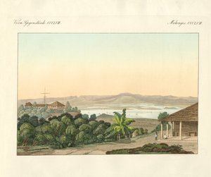Pulu Penang (barevná rytina) od German School