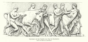 Obětní zvířata ve starověkém řeckém průvodu Panathenaia (rytina) od German School