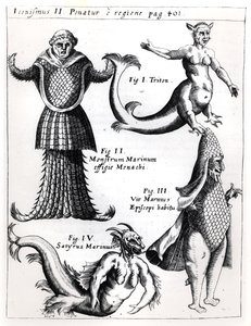 Mořské příšery, ilustrace z Physica Curiosa od Gaspara Schotta S.J. (1608-66), publikoval Würzburg 1662 od German School