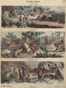 Americký západ: nové osídlení; lasování divokých koní v Novém Mexiku; horská cesta v Mexiku (barevná rytina) od German School