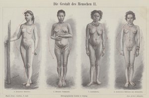 Lidská postava (rytina) od German School