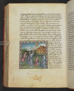 Ulrich von Pottenstein, The Book of Natural Wisdom, Egerton MS 1121 f.114v, c.1430 (inkoust a barva na pergamenu) od German School