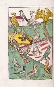 Různé druhy ptáků v krajině, 1499 od German School