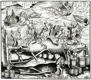 Lov velryb, po dřevorytu v Cosmographie Universelle of Munster, publikovaném 1552 od German School