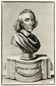 William Harvey od German School