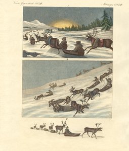 Zimní výlety v Laponsku (barevná rytina) od German School