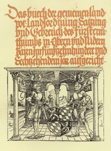 Dřevoryt z irského pozemku od German School