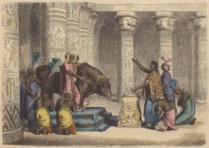 Uctívání býka Apisa ve starověkém Egyptě (barevná rytina) od German School