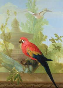 Ara a holubice v okrasné zahradě, 1772 od Gerrit van den Heuvel