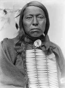 Náčelník Siouxů Flying Hawk, kolem roku 1900 od Gertrude Käsebier