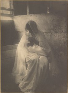 The Manger (Ideální mateřství)