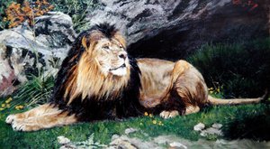 Barbary nebo Atlas Lion, kolem 1890-1900 (olej na plátně) od Geza Vastagh