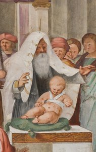 Centrální loď, páté severní pole, představení chrámu, Gian Francesco Bembo