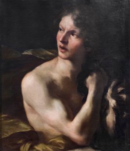 Davide od Gian Lorenzo Bernini