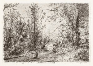 Les na Lago Maggiore [Les na jezeře Maggiore] od Giberto Borromeo