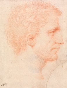 Hlava muže se strništěm vousů, tváří vpravo od Giles Hussey
