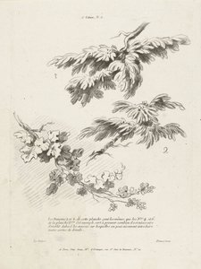 Studie tří větví s listy 1er Cahier de paysage (název série) od Gilles Demarteau