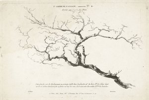 Studie holé větve stromu 1er Cahier de paysage (název série)