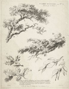 Studie větví s listy 1er Cahier de paysage (název série) od Gilles Demarteau