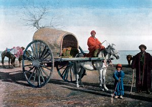 Bucharský vůz, Uzbekistán, c1890