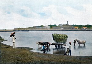 Colombo, Cejlon, c1890
