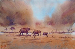 Cesta afrického slona od Giorgio Gosti
