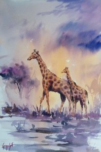 Žirafy při africkém západu slunce od Giorgio Gosti