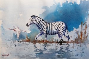 Africká zebra brodící se ve vodě od Giorgio Gosti