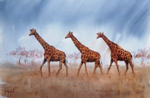 Safari – trojice žiraf od Giorgio Gosti