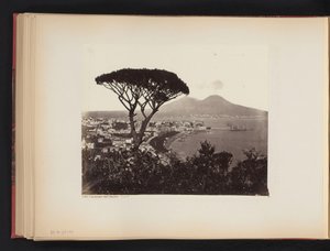 Pohled na Neapol, Itálie, s borovicí v popředí Panorama údolí Vomero Napoli (název na objektu) od Giorgio Sommer