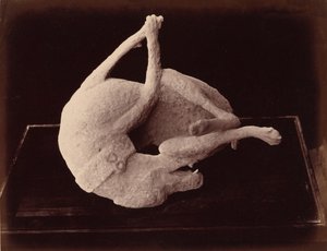 Odlitek, Pompeje, cca. 1870 (foto) od Giorgio Sommer