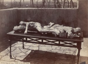 Lidské stopy, Pompeje [Human Casts, Pompeje] od Giorgio Sommer