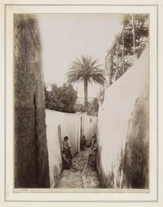  od Giorgio Sommer