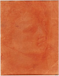 Hlava v tříčtvrtečním profilu (recto); Stojící mladý muž ukazující doleva a náčrtky nohou, paže (verze) od Giorgione