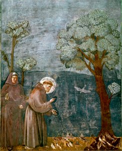 Epizoda ze života svatého Františka z Assisi (San Francesco): „“ Predikace ptáků“““ Freska od Giotta (Ambrogio di Bondone