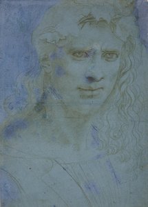 Busta mláďat korunovaná trním a výhonky vinné révy, c. 1495 (kovový hrot na modrém připraveném papíru) od Giovanni Antonio Boltraffio