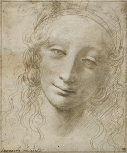 Hlava ženy od Giovanni Antonio Boltraffio