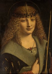 Portrét chlapce jako svatého Sebastiána

"

" od Giovanni Antonio Boltraffio